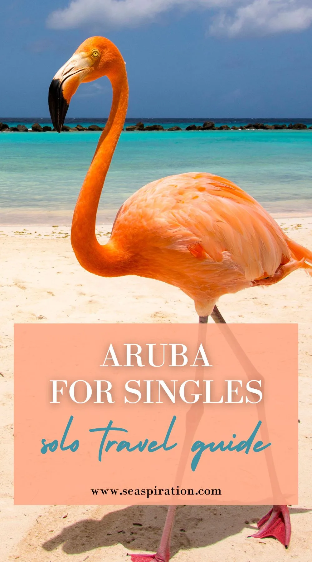 one flamingo standing on the beach in aruba