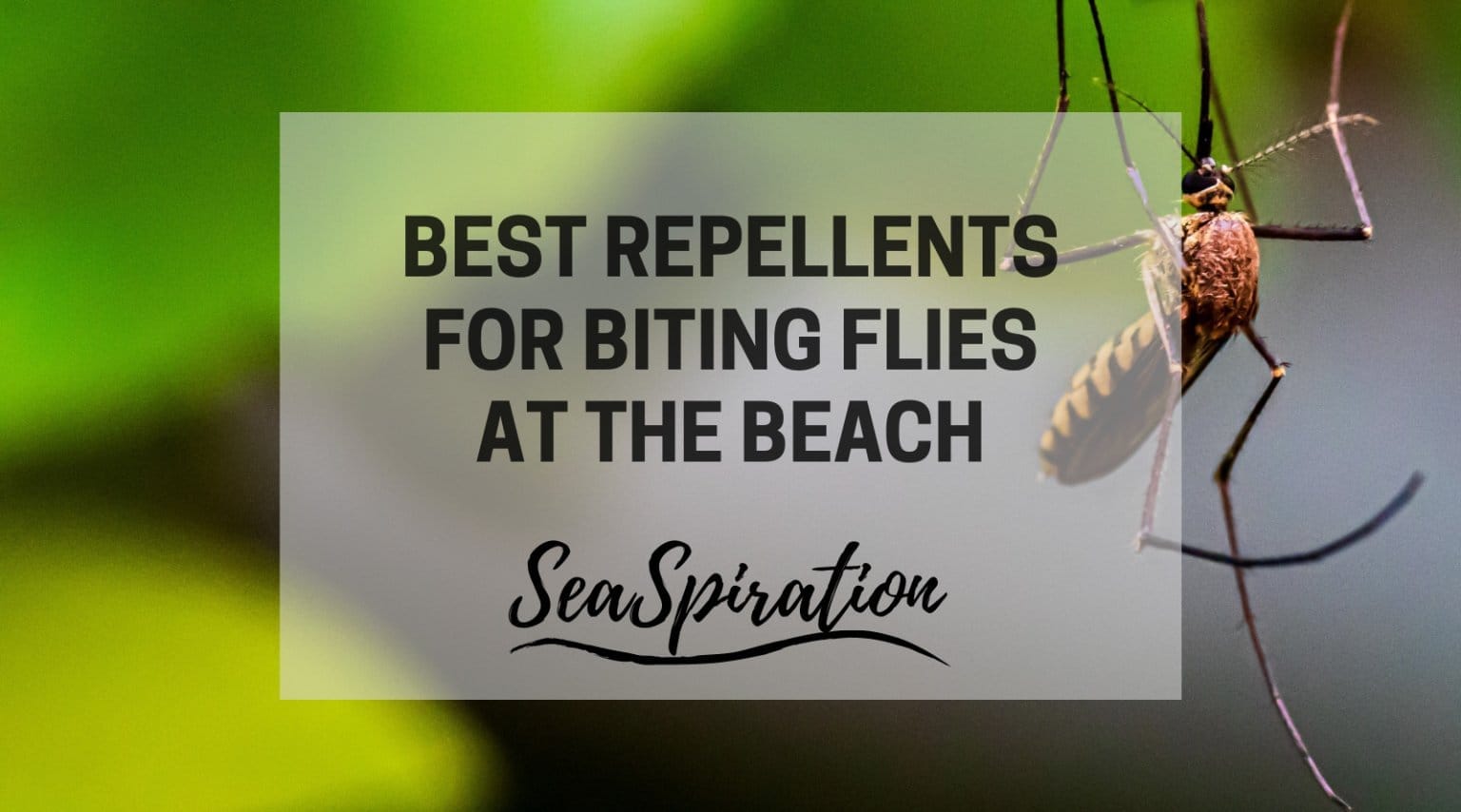 Beach Wind Blocker Portable Windbreak Shelters SeaSpiration