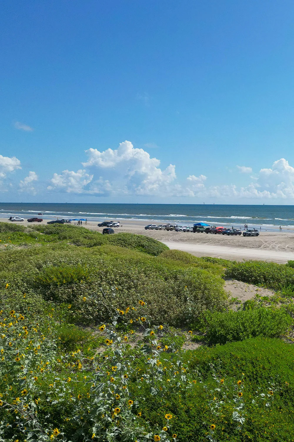quiet beach scene along the Gulf Coast in Corpus Christi