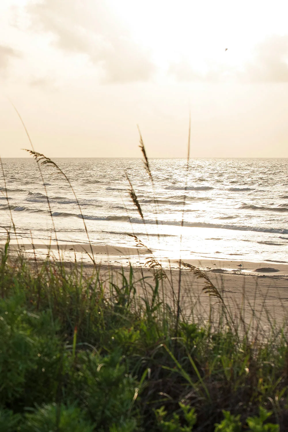 serene coastal scene on Mustang Island Texas