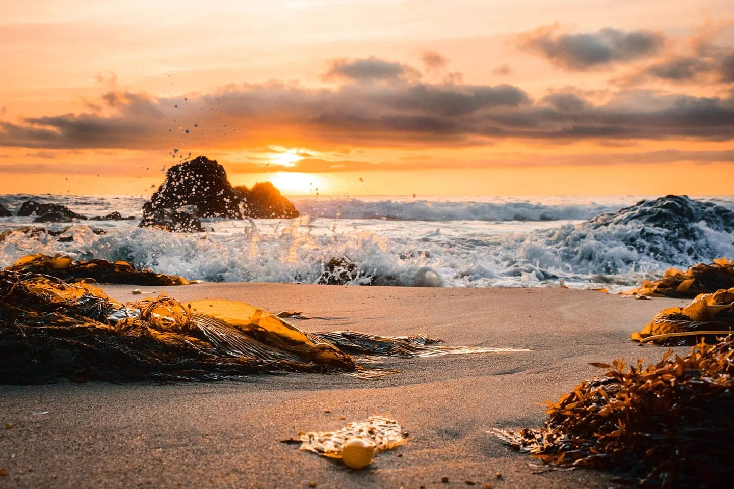 Colorful winter beach sunset