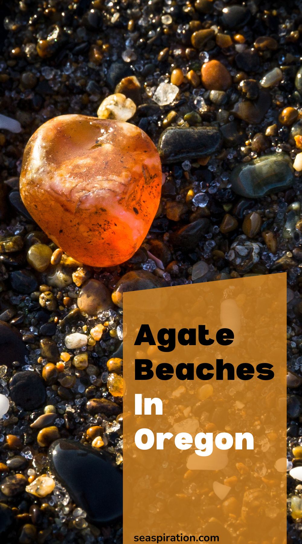 agate on the beach