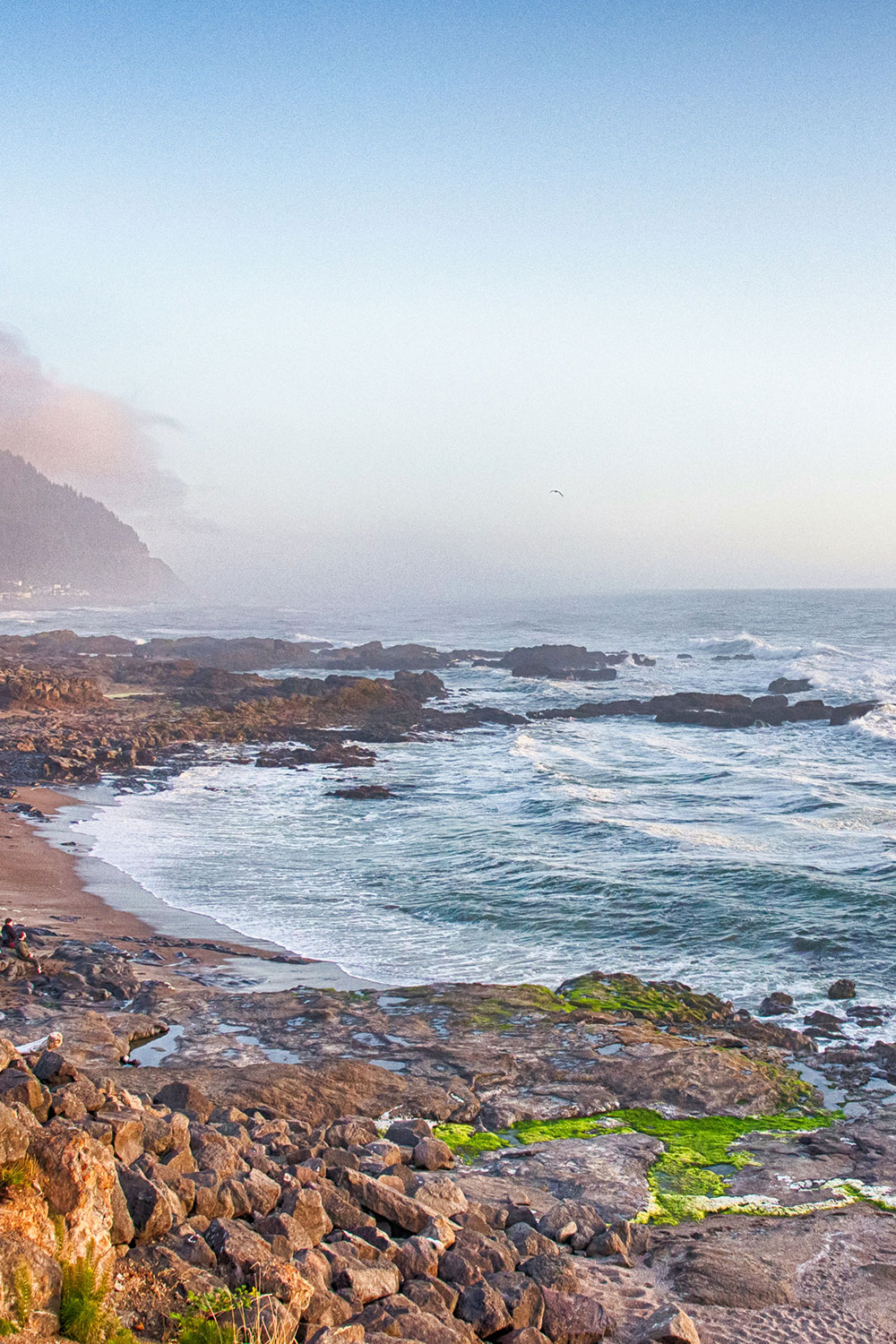 rocky coastline located in Yachats, Oregon