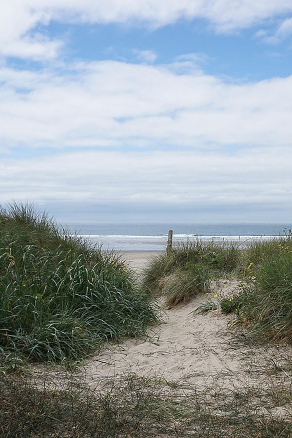  sandy path leading through coastal vegetation to Manzanita Beach in Oregon
