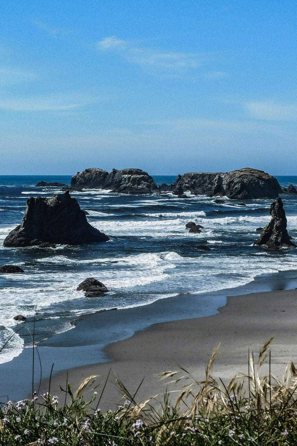 scenic view of Bandon Beach shoreline
