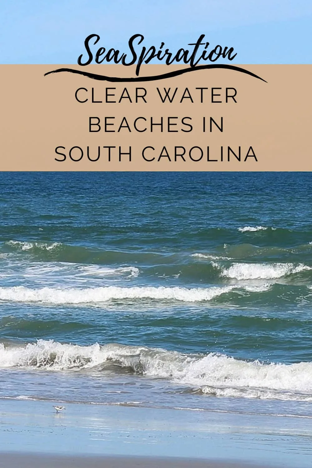 clearest beaches in South Carolina - pin