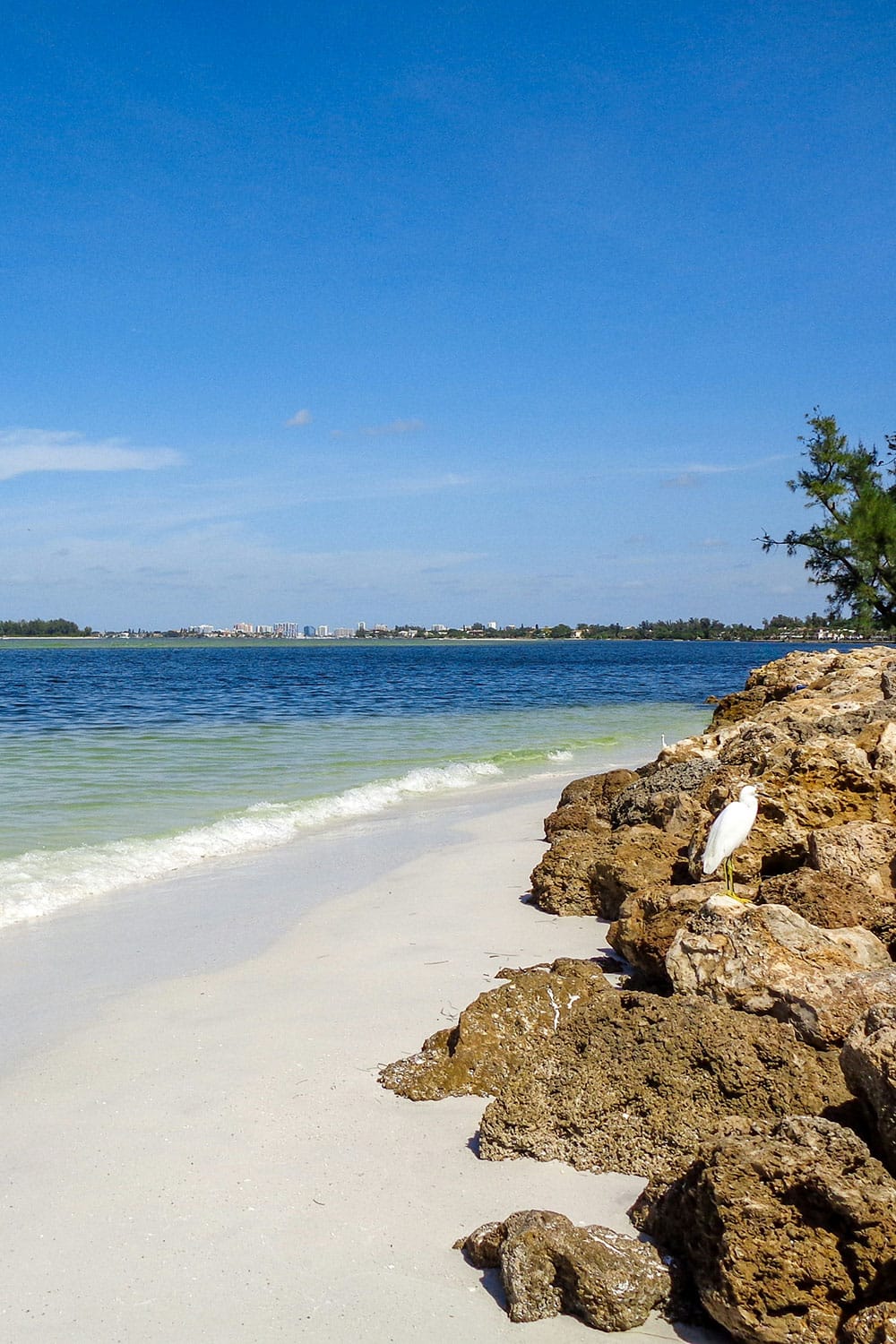 Siesta Key view