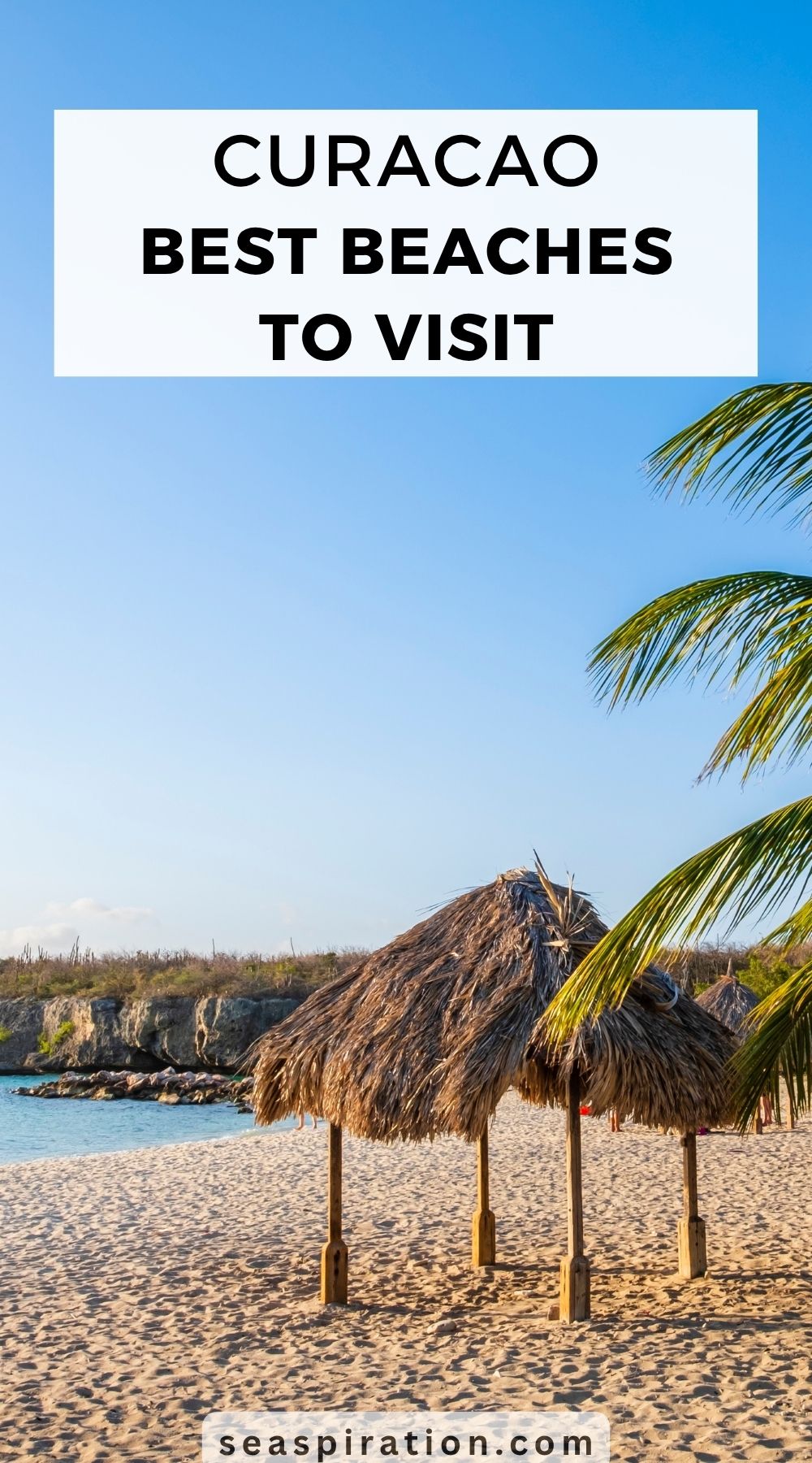 palm trees next to the sea on the golden sandy beach of DaaiBooi on Curacao