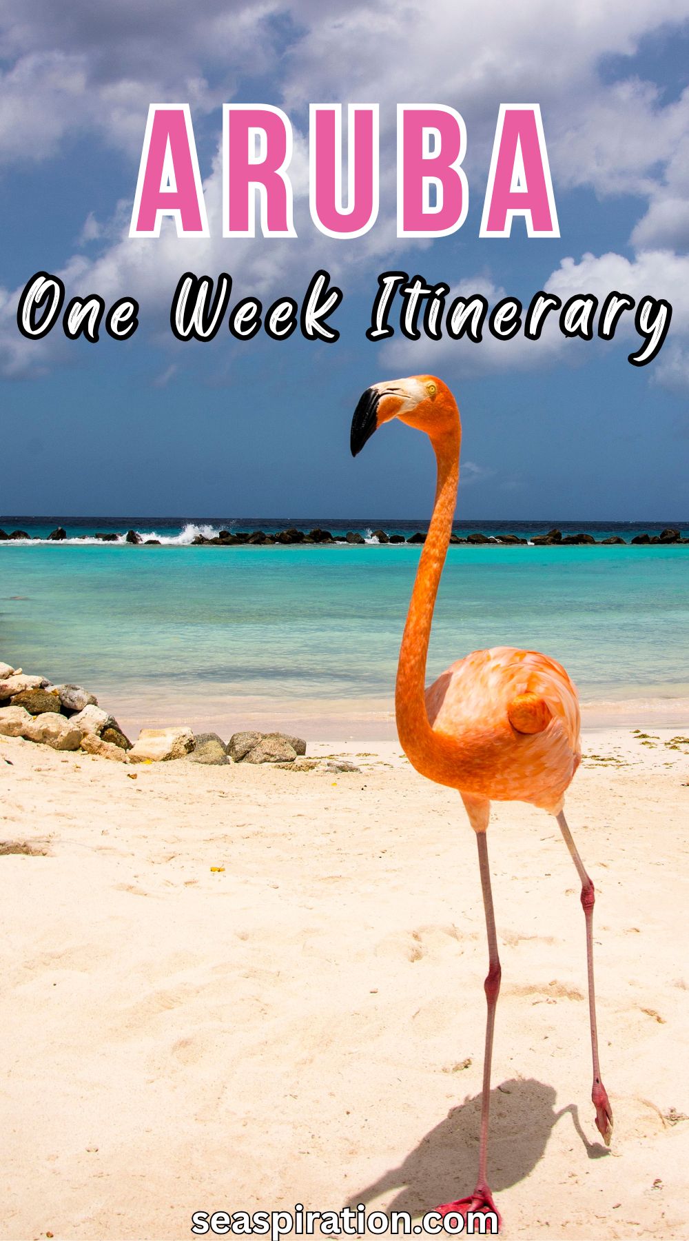 flamingo standing near the water on Flamingo Island Aruba