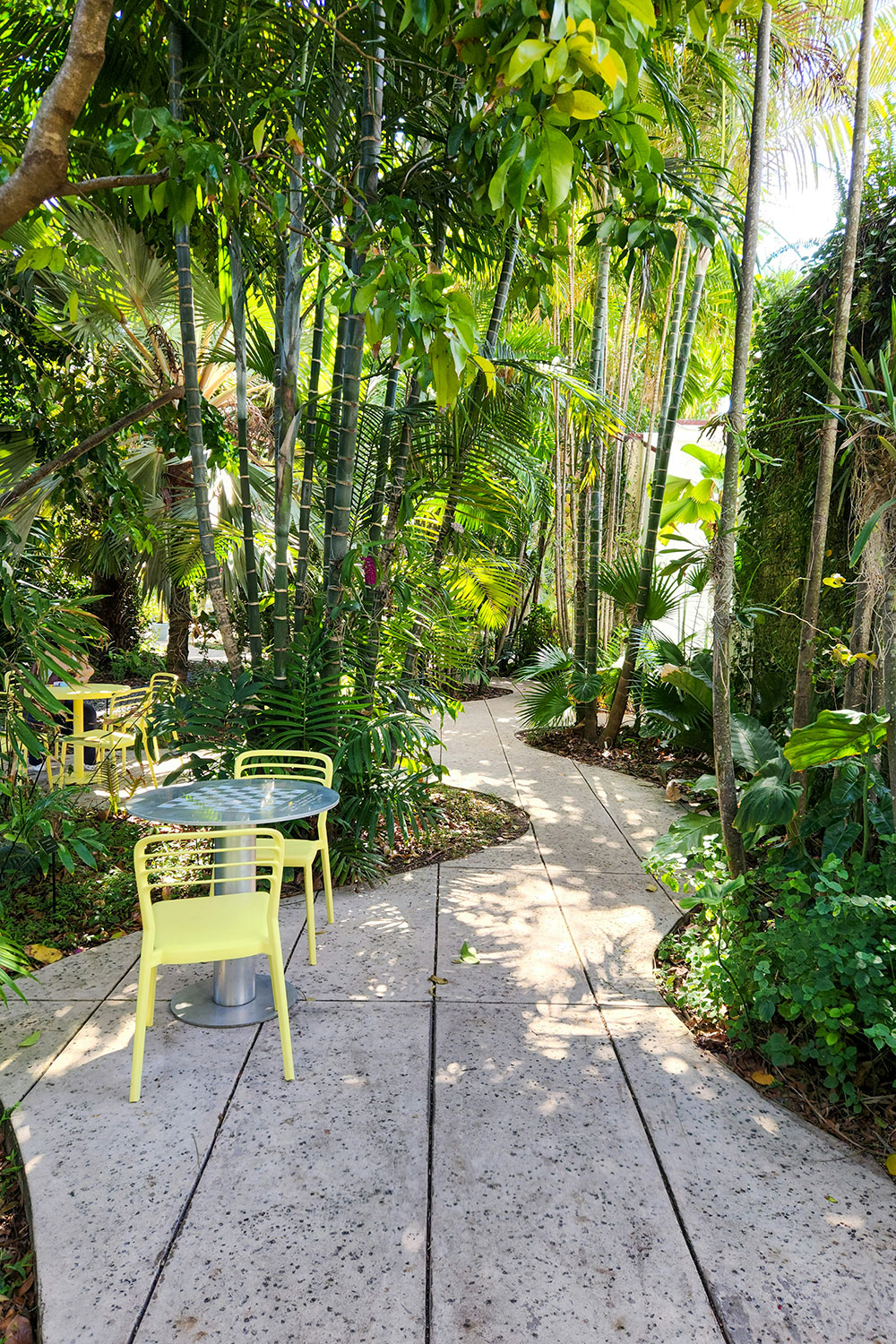 lush pathway within the Miami Beach Botanical Garden